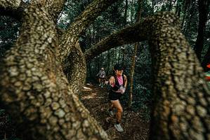 BIB: 
                            <button type="button" onclick="openModal(25701858)" class="btn btn-primary btn-sm float-right btn-popup" data-toggle="modal" data-target=".modal-high-quality">
                        <i class="fas fa-shopping-cart"></i> Add to Cart
                    </button>
                                            <button type="button" onclick="isThisMe(25701858, true)" class="btn btn-success btn-sm float-right btn-popup btn-isme hidden" data-toggle="tooltip" data-placement="bottom" title="นี่คือรูปของคุณใช่ไหม คลิกที่นี่เพื่อเอาเข้าอัลบั้ม">
                        <i class="fas fa-plus"></i> Add to album
                    </button>
                    <button type="button" onclick="isThisMe(25701858, false)" class="btn btn-warning btn-sm float-right btn-popup btn-isnotme hidden">
                        <i class="fas fa-ban"></i> Remove from album
                    </button>